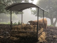 IMG_5368