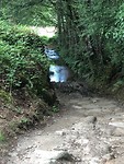 IMG_5462