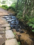 IMG_5464