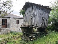 IMG_5466