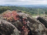 IMG_5496