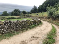 IMG_5499