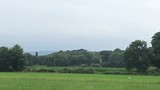Ooievaars op de cliche voor een vogelspotter.