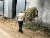 IMG_5556