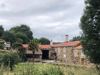 IMG_5563