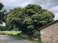 IMG_5577