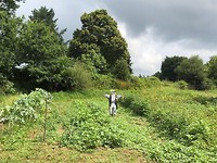 IMG_6079