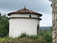 IMG_6081