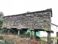 IMG_6174