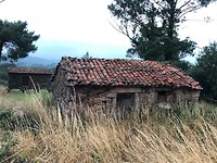 IMG_6175