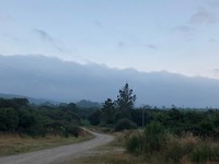 IMG_6176