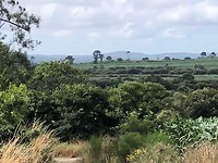 IMG_6526