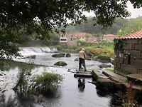 IMG_6586