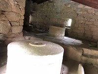IMG_6589