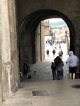 IMG_6643