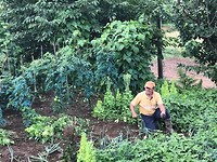 IMG_6737