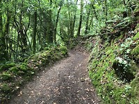 IMG_6742