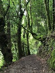 IMG_6745