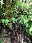 IMG_6746