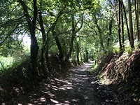 IMG_6753