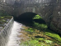IMG_6771