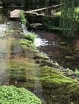 IMG_6776