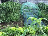 IMG_6820