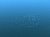 IMG_6882