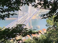 IMG_7012