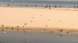 Baai van Vigo. 4.