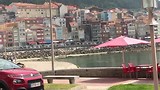 Gamba’s op de grens van Spanje en Portugal.