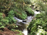 IMG_7566