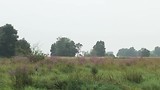 Delta grensrivier 10 km landinwaarts. 1.