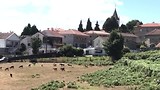 Melkgeitenboerderij.