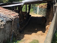 IMG_7717
