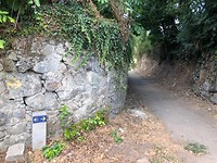IMG_7724