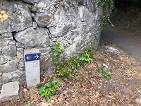 IMG_7725