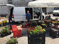 IMG_7732