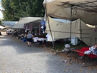 IMG_7733