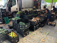 IMG_7734