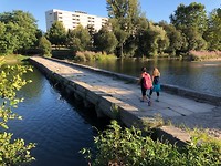 IMG_7810