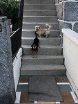 IMG_7816