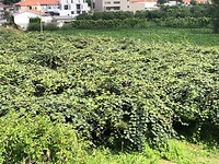 IMG_7853