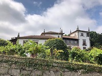 IMG_7854