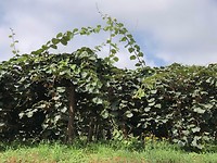 IMG_7858