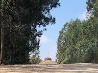 IMG_7863
