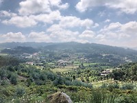 IMG_7865