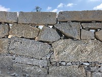 IMG_7869