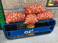 IMG_7877