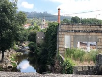 IMG_7881